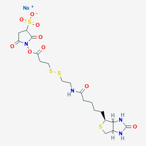 Sulfo-NHS-SS-Biotin