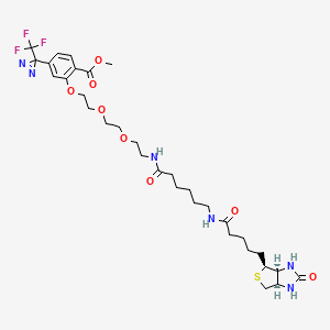 molecular formula C32H45F3N6O8S B1140039 2-[2-[2-[2-[6-(Biotinylaminohexanoyl]aminoethoxy]ethoxy]ethoxy]-4-[3-(trifluoromethyl)-3H-diazirin-3-yl]benzoic Acid, Methyl Ester CAS No. 1217691-71-8