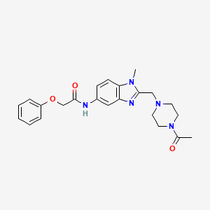 molecular formula C23H27N5O3 B11407332 N-{2-[(4-acetylpiperazin-1-yl)methyl]-1-methyl-1H-benzimidazol-5-yl}-2-phenoxyacetamide 