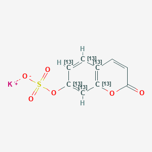 7-Hydroxy Coumarin-13C6 Sulfate Potassium Salt