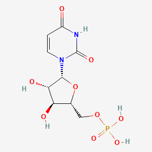 molecular formula C₉H₁₃N₂O₉P B1140955 Uracil arabinose-5'-phosphate CAS No. 18354-06-8