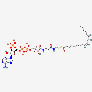 molecular formula C39H62Li4N7O17P3S B1140963 Linoleoyl coenzyme A lithium salt CAS No. 103476-22-8