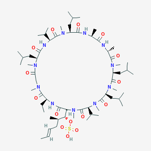 molecular formula C₆₂H₁₁₁N₁₁O₁₅S B1141038 Cyclosporin A Sulfate CAS No. 121673-00-5