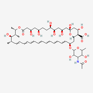 molecular formula C₄₉H₇₅NO₁₈ B1141039 N-乙酰两性霉素B CAS No. 902457-23-2