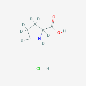 molecular formula C₅H₃D₇ClNO₂ B1141337 1,2,3,3,4,4,5-Heptadeuteriopyrrolidine-2-carboxylic acid;hydrochloride CAS No. 65807-21-8