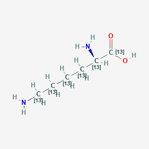 molecular formula ¹³C₆H₁₄N₂O₂ B1141422 D-Lysine-13C6 CAS No. 1182252-66-9