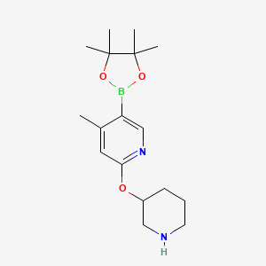 molecular formula C17H27BN2O3 B1141554 4-Methyl-2-(piperidin-3-yloxy)-5-(4,4,5,5-tetramethyl-[1,3,2]dioxaborolan-2-yl)pyridine CAS No. 1350559-15-7