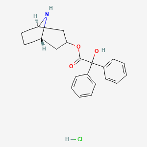molecular formula C₂₁H₂₄ClNO₃ B1142047 endo-8-Azabicyclo[3.2.1]octan-3-yl 2-hydroxy-2,2-diphenylacetate hydrochloride CAS No. 63516-30-3
