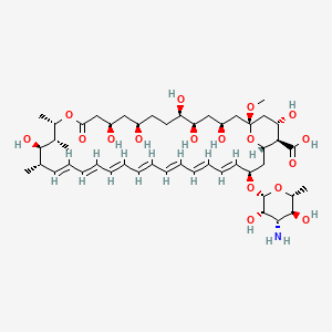 molecular formula C₄₈H₇₅NO₁₇ B1142324 Amphotericin X1 CAS No. 136135-57-4