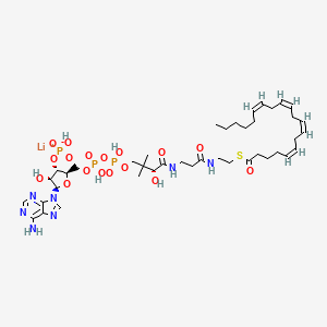 B1142853 Arachidonoyl coenzyme A lithium salt CAS No. 188174-63-2