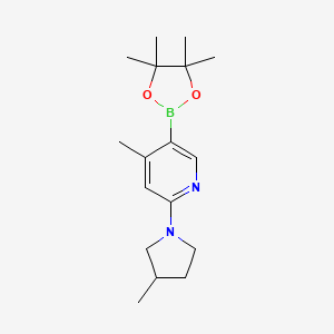 B1142936 4-Methyl-2-(3-methylpyrrolidin-1-yl)-5-(4,4,5,5-tetramethyl-[1,3,2]dioxaborolan-2-yl)pyridine CAS No. 1353722-52-7