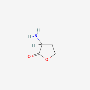 B1143093 Homoserine lactone CAS No. 171736-85-9