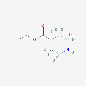molecular formula C8H6D9NO2 B1144076 Ethyl 1,2,2,3,3,4,5,5,6-nonadeuteriopiperidine-4-carboxylate CAS No. 1219803-75-4