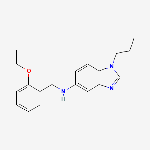 molecular formula C19H23N3O B11447999 N-(2-ethoxybenzyl)-1-propyl-1H-benzimidazol-5-amine 