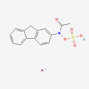 molecular formula C₁₅H₁₂KNO₅S B1145895 N-Acetyl-N-9H-fluoren-2-yl-hydroxylamine-O-sulfonicAcidPotassiumSalt CAS No. 74925-71-6