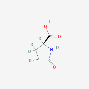molecular formula C5H7NO3 B1146105 5-Oxo-L-proline-d5 CAS No. 1086136-22-2
