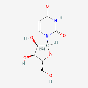 molecular formula C9H12N2O6 B1146227 [1'-13C]uridine 