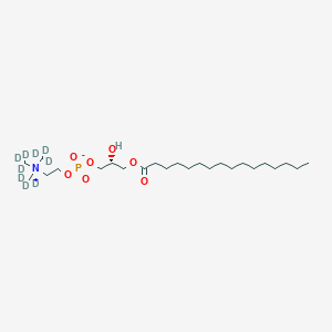 1-Palmitoyl-sn-glycero-3-phosphocholine-d9