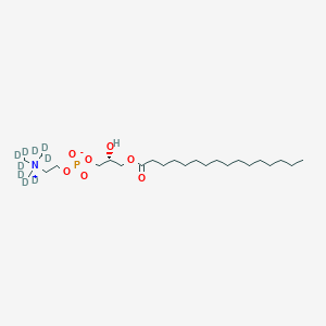 molecular formula C₂₄H₄₁D₉NO₇P B1146545 1-Palmitoyl-sn-glycero-3-phosphocholine-d9 CAS No. 182257-09-6