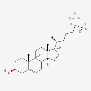 molecular formula C27H44O B1146830 7-Dehydrocholesterol-d7 