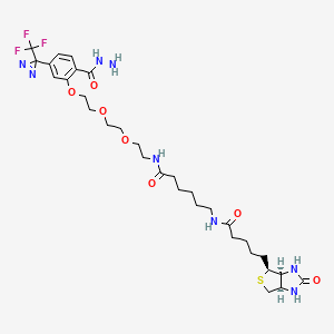molecular formula C31H45F3N8O7S B1146991 2-[2-[2-[2-[6-(Biotinylaminohexanoyl]aminoethoxy]ethoxy]ethoxy]-4-[3-(trifluoromethyl)-3H-diazirin-3-yl]benzoic Acid Hydrazide CAS No. 1391054-06-0