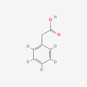 molecular formula C8H3D5O2 B1147055 Phenyl-d5-acetic acid CAS No. 104182-98-1