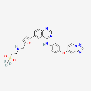 molecular formula C₂₉H₂₄D₃N₇O₄S B1147107 6-[5-[[[2-(Methyl-d3-sulfonyl)ethyl]amino]methyl]-2-furanyl]-N-[3-methyl-4-([1,2,4]triazolo[1,5-a]pyridin-7-yloxy)phenyl]-4-quinazolinamine CAS No. 1795011-57-2