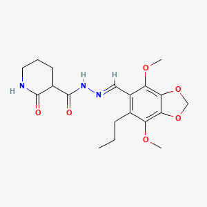 molecular formula C19H25N3O6 B11475811 N'-[(E)-(4,7-dimethoxy-6-propyl-1,3-benzodioxol-5-yl)methylidene]-2-oxopiperidine-3-carbohydrazide 