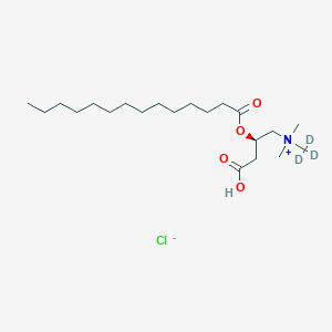 molecular formula C₂₁H₃₉D₃ClNO₄ B1147583 肉豆蔻酰-L-肉碱-d3 盐酸盐 CAS No. 1334532-25-0