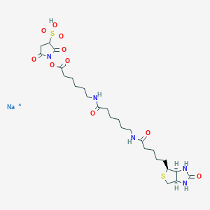 Sulfo-nhs-LC-LC-biotin