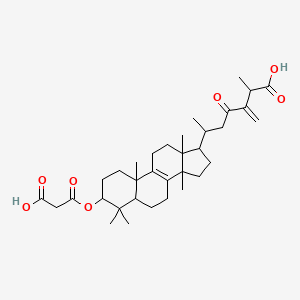 24(31)-Dehydrocarboxyacetylquercinic acid