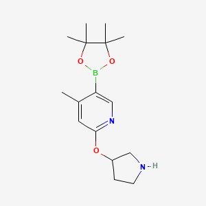 4-Methyl-2-(pyrrolidin-3-yloxy)-5-(4,4,5,5-tetramethyl-[1,3,2]dioxaborolan-2-yl)pyridine