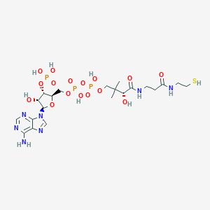 molecular formula C21H36N7O16P3S B114949 N-Ethylmethylamine CAS No. 143180-18-1