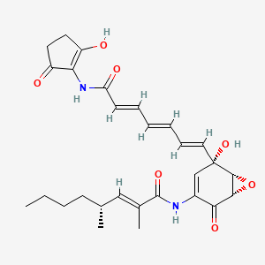 molecular formula C28H34N2O7 B1149687 Manumycin B CAS No. 139023-58-8