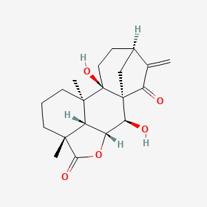 molecular formula C20H26O5 B1150611 ent-7alpha,9-Dihydroxy-15-oxokaur-16-en-19,6bet-olide CAS No. 59885-89-1