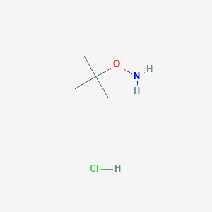 O-tert-Butylhydroxylamine hydrochloride