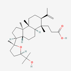 molecular formula C30H50O4 B1151576 Shoreic Acid CAS No. 21671-00-1