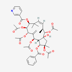 molecular formula C43H51NO15 B1151717 Pepluanin A 