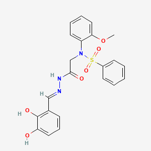 molecular formula C22H21N3O6S B11538589 N-({N'-[(E)-(2,3-Dihydroxyphenyl)methylidene]hydrazinecarbonyl}methyl)-N-(2-methoxyphenyl)benzenesulfonamide 
