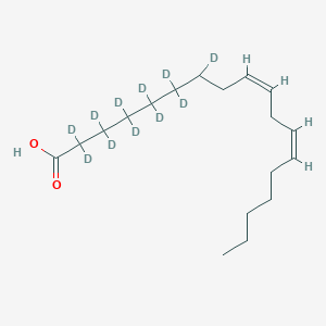 molecular formula C18H21D11O2 B1153955 (9Z,12Z)-2,2,3,3,4,4,5,5,6,6,7-undecadeuteriooctadeca-9,12-dienoic acid 