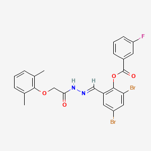 molecular formula C24H19Br2FN2O4 B11539947 2,4-dibromo-6-[(E)-{2-[(2,6-dimethylphenoxy)acetyl]hydrazinylidene}methyl]phenyl 3-fluorobenzoate 