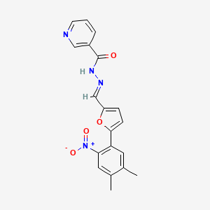 molecular formula C19H16N4O4 B11540299 N'-[(E)-[5-(4,5-Dimethyl-2-nitrophenyl)furan-2-YL]methylidene]pyridine-3-carbohydrazide 