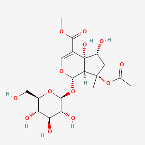 molecular formula C19H28O13 B1154318 Phlorigidoside B 
