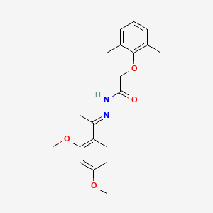 molecular formula C20H24N2O4 B11544619 N'-[(1E)-1-(2,4-dimethoxyphenyl)ethylidene]-2-(2,6-dimethylphenoxy)acetohydrazide 