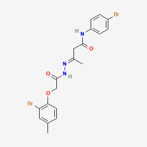 molecular formula C19H19Br2N3O3 B11552189 (3E)-3-{2-[(2-bromo-4-methylphenoxy)acetyl]hydrazinylidene}-N-(4-bromophenyl)butanamide 