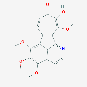 molecular formula C20H17NO6 B115623 Pareirubrine A CAS No. 147044-68-6