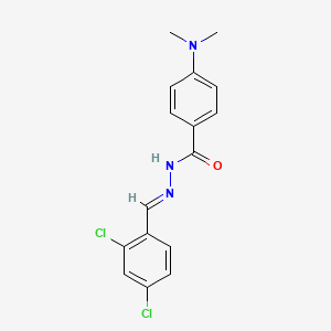 molecular formula C16H15Cl2N3O B11566090 N'-[(E)-(2,4-dichlorophenyl)methylidene]-4-(dimethylamino)benzohydrazide 