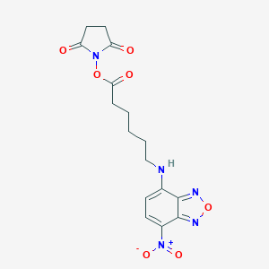 molecular formula C16H17N5O7 B115780 Nbd-X, SE 