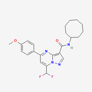 molecular formula C23H26F2N4O2 B11580116 N-cyclooctyl-7-(difluoromethyl)-5-(4-methoxyphenyl)pyrazolo[1,5-a]pyrimidine-3-carboxamide 
