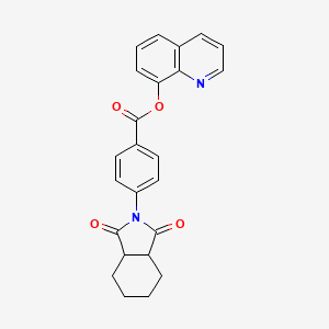molecular formula C24H20N2O4 B11588920 quinolin-8-yl 4-(1,3-dioxooctahydro-2H-isoindol-2-yl)benzoate 